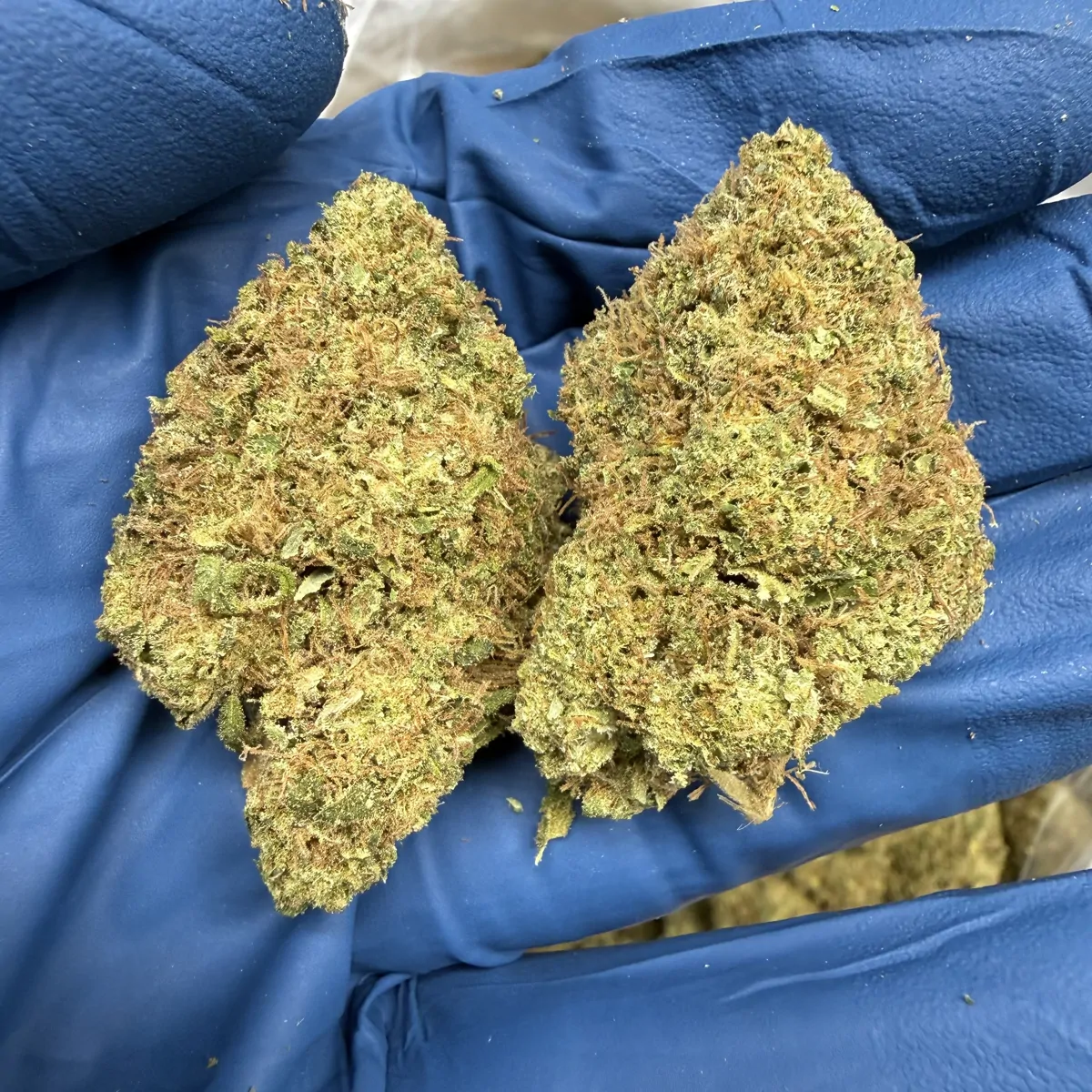 Lemon Kush Flower